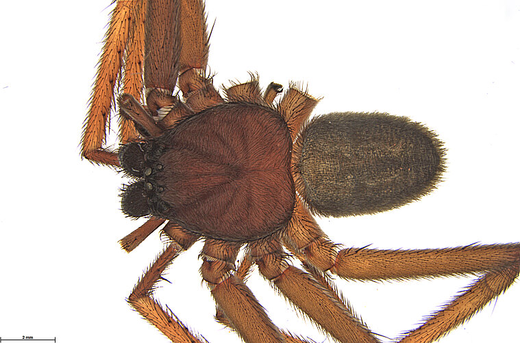 FP-10027