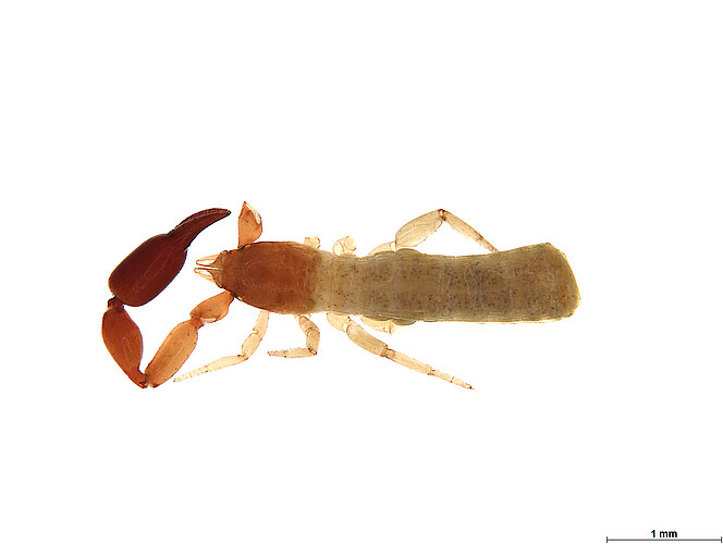FP-13921