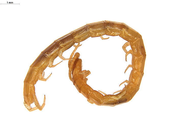 FP-13894