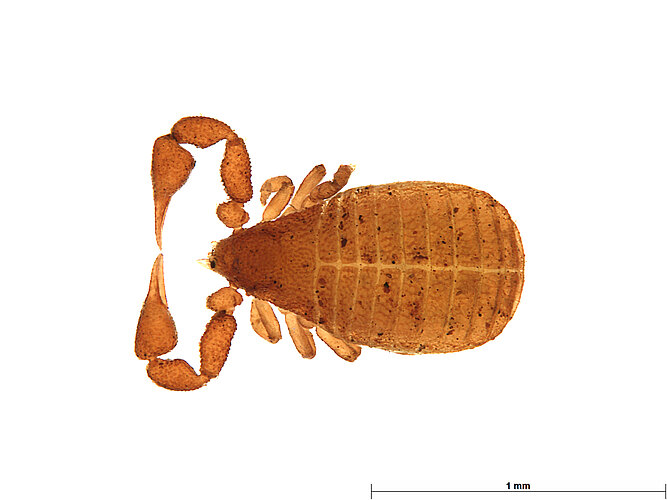 FP-13907