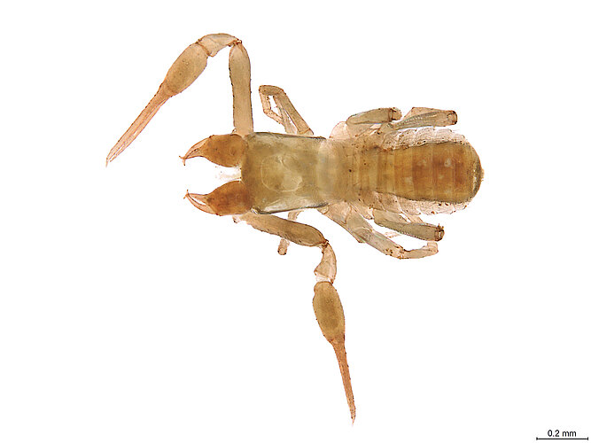 FP-13912