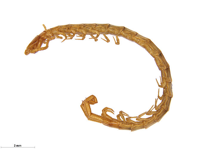 FP-13896