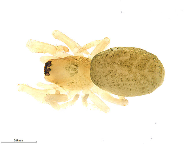 FP-14790