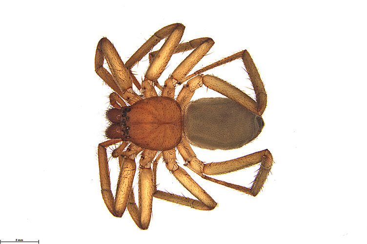 FP-13657