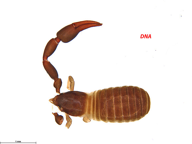 FP-13785