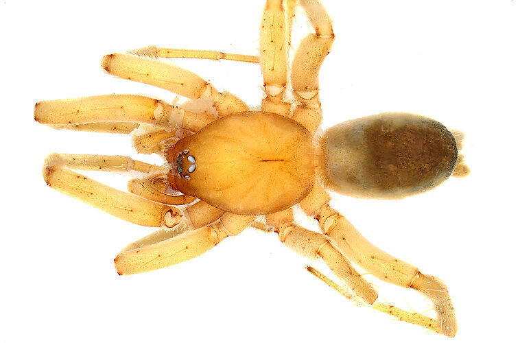 FP-14772