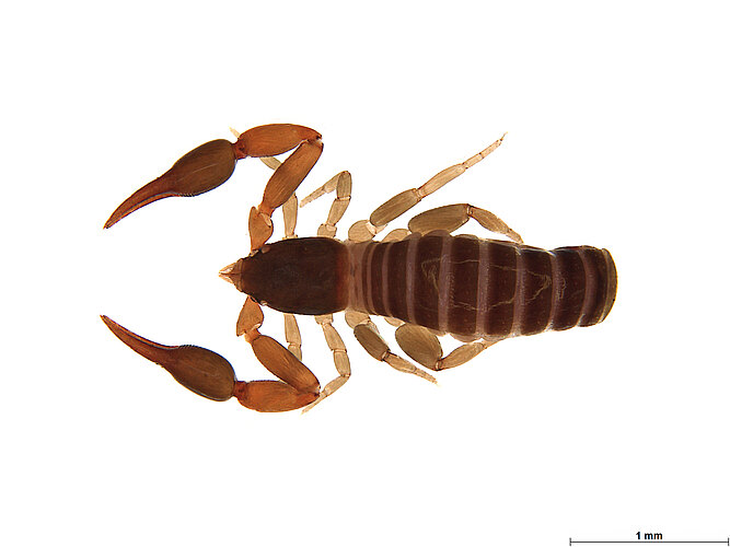 FP-13927