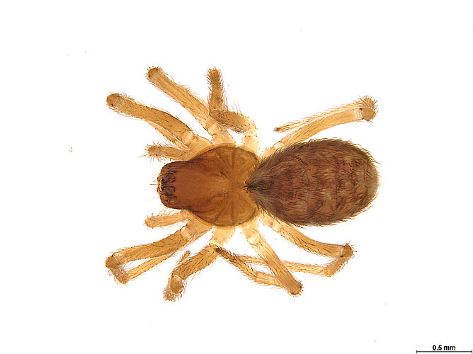 FP-13960