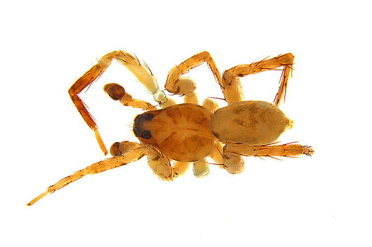 FP-13189
