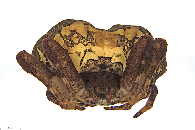 FP-14139