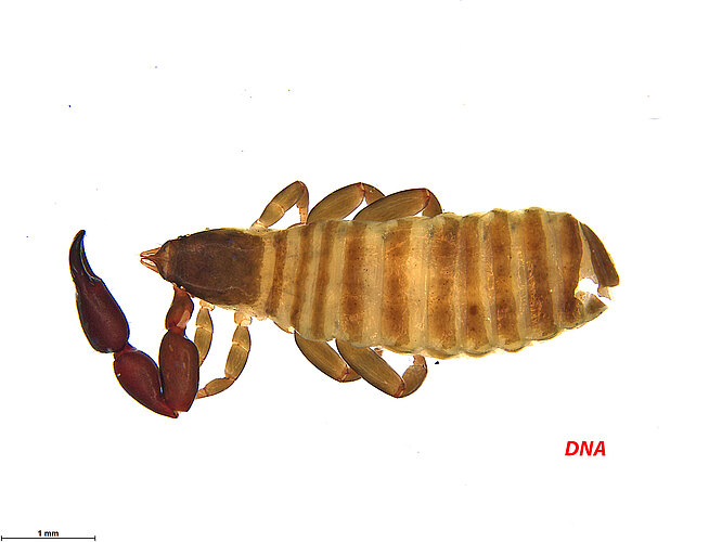 FP-13787