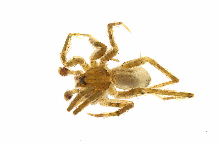 FP-14879