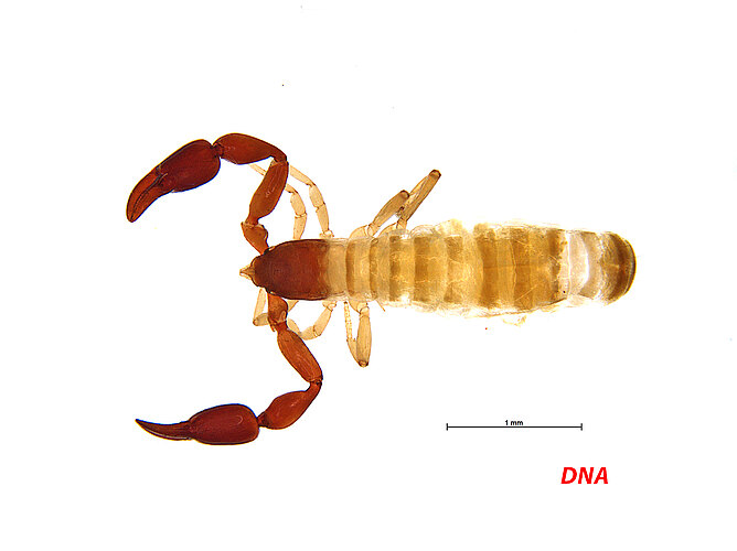 FP-12539
