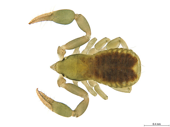 FP-12564