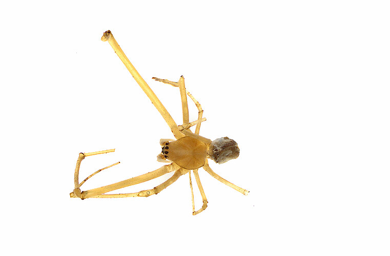 FP-14944