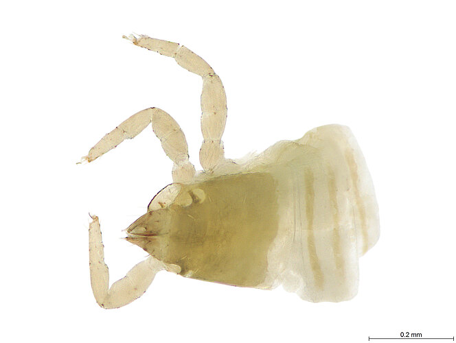 FP-13168