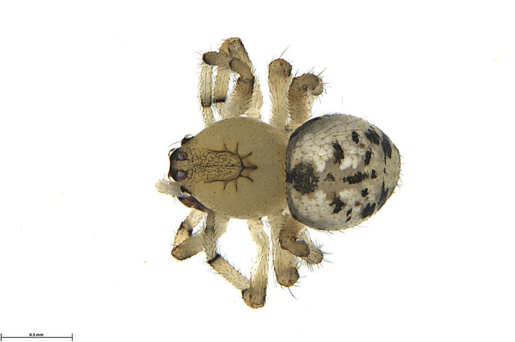 FP-14420