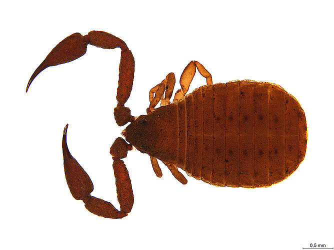 FP-13471