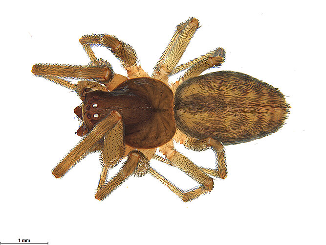 FP-14123