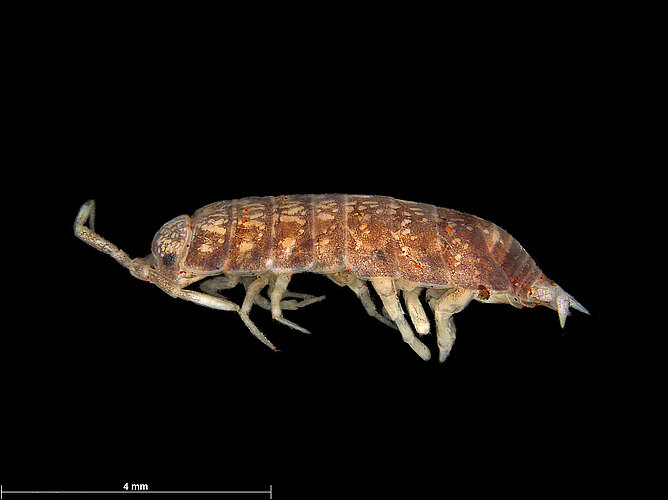 FP-14051