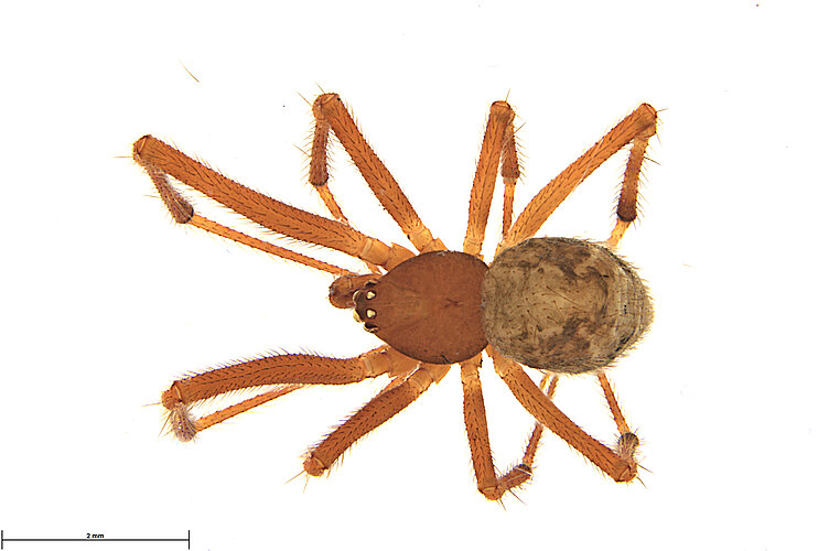 FP-13837