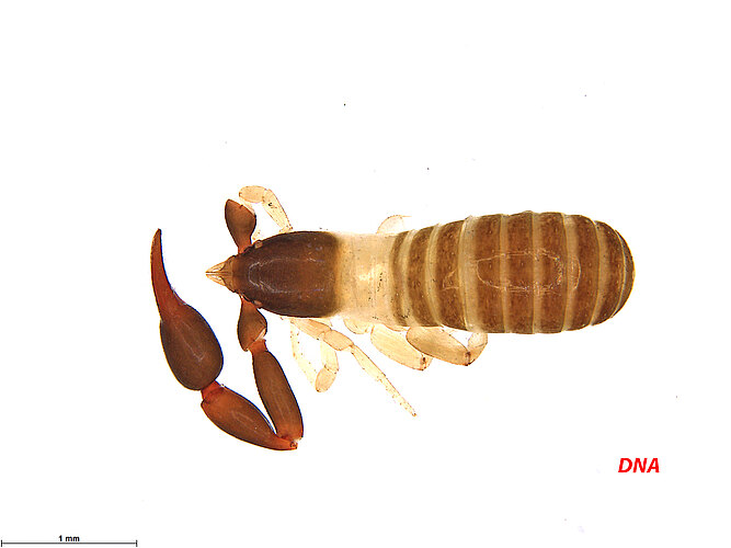 FP-13784
