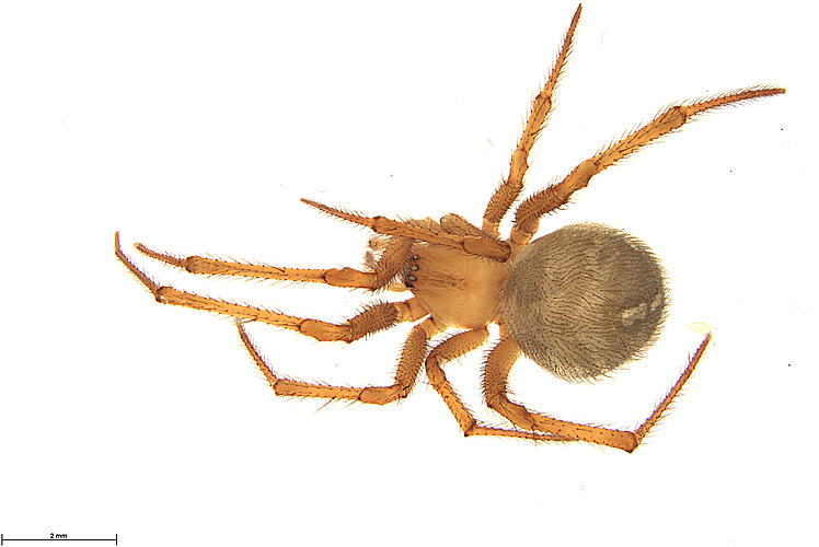 FP-13840
