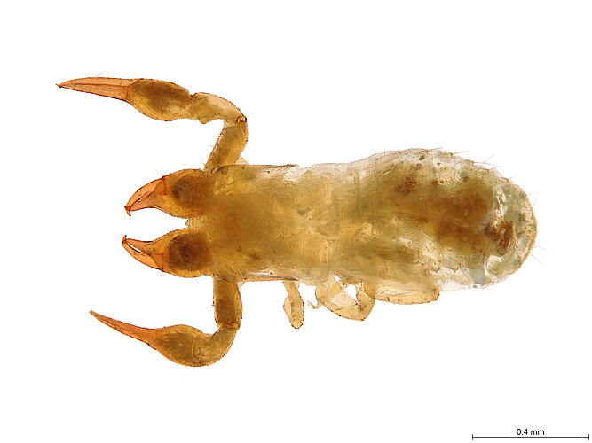 FP-12535