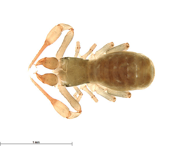 FP-13916