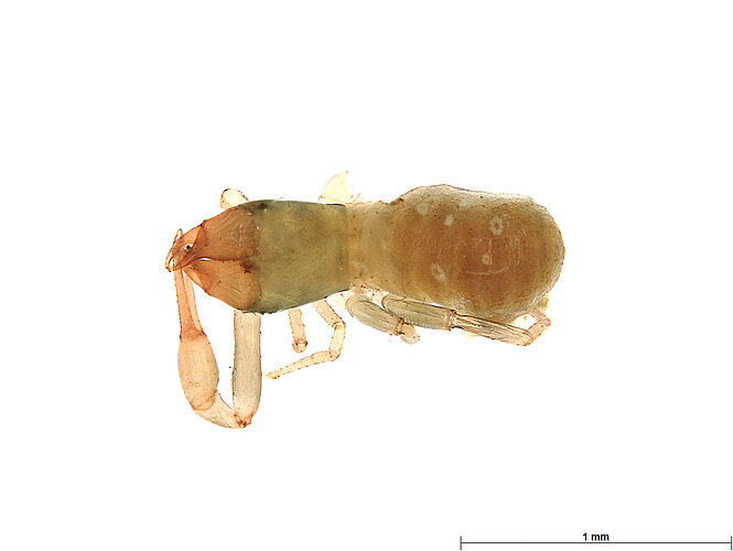 FP-13909