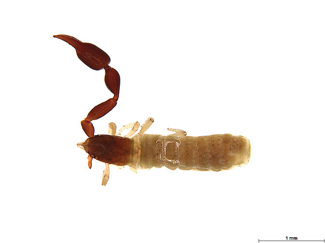 FP-13922