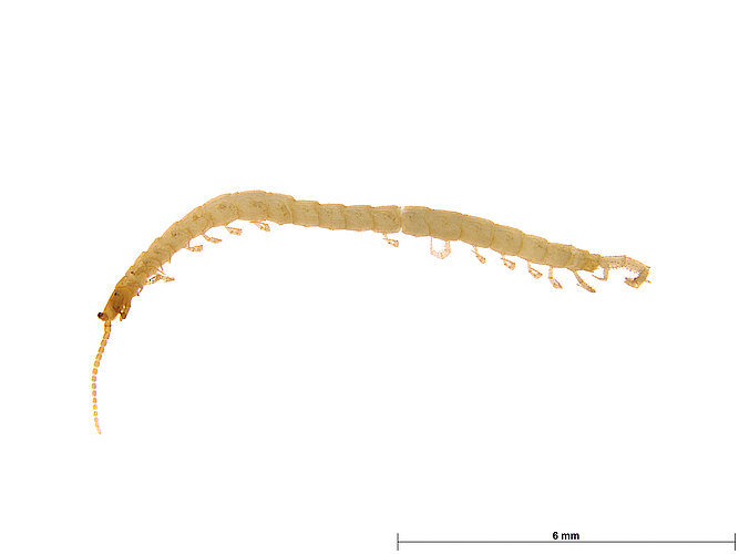 FP-14397