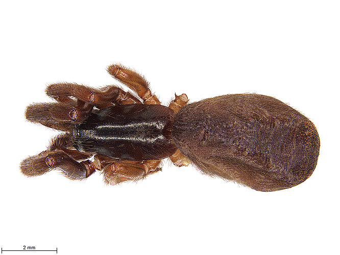 FP-14512