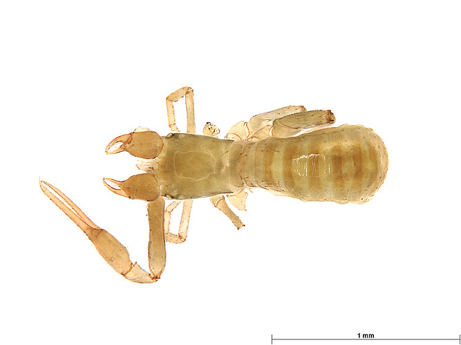 FP-13910