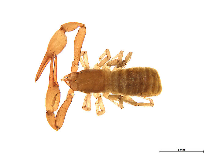 FP-13920