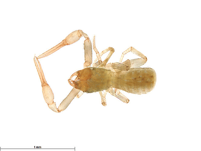 FP-13913