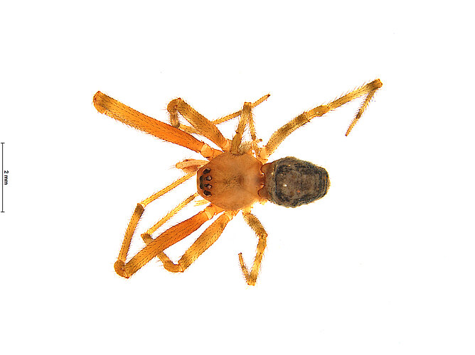 FP-13716